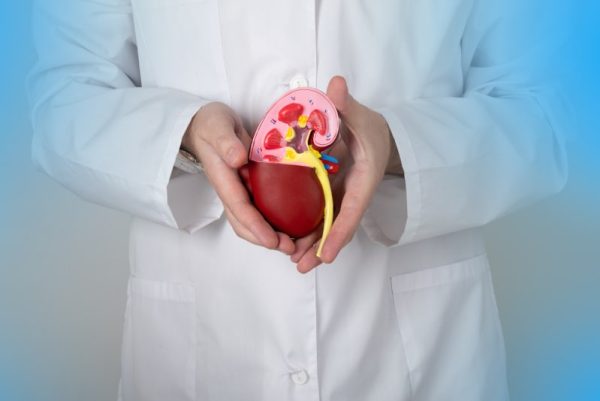 nephrology-nursing-introduction